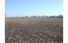 Tract 4 - 371 Acres Offered in 9 Tracts