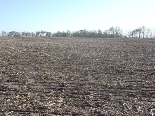 Tract 4 - 371 Acres Offered in 9 Tracts