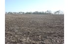 Tract 4 - 371 Acres Offered in 9 Tracts