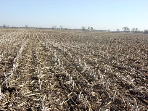 Tract 3 - 371 Acres Offered in 9 Tracts