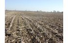 Tract 3 - 371 Acres Offered in 9 Tracts