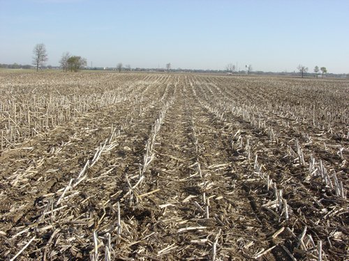 Tract 3 - 371 Acres Offered in 9 Tracts