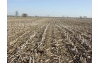 Tract 3 - 371 Acres Offered in 9 Tracts