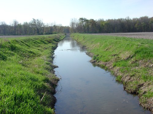 Tracts 5 & 6 - 371 Acres Offered in 9 Tracts
