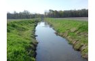 Tracts 5 & 6 - 371 Acres Offered in 9 Tracts