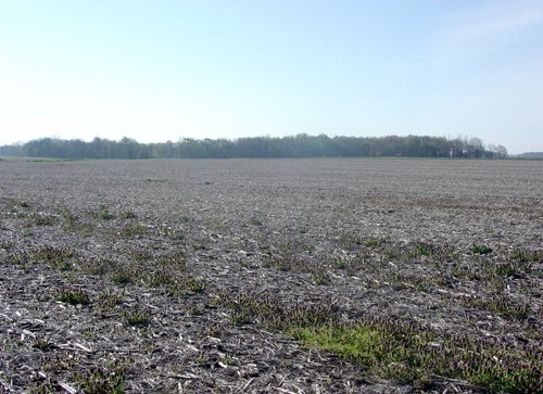 Tract 5 - 371 Acres Offered in 9 Tracts