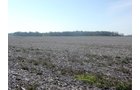 Tract 5 - 371 Acres Offered in 9 Tracts