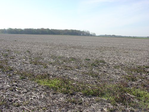 Tract 5 - 371 Acres Offered in 9 Tracts
