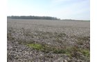 Tract 5 - 371 Acres Offered in 9 Tracts