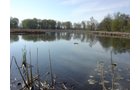 Tract 8 - 371 Acres Offered in 9 Tracts