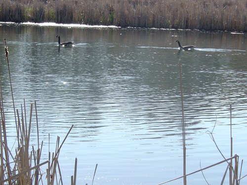 Tract 8 - 371 Acres Offered in 9 Tracts