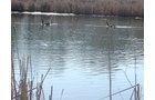 Tract 8 - 371 Acres Offered in 9 Tracts