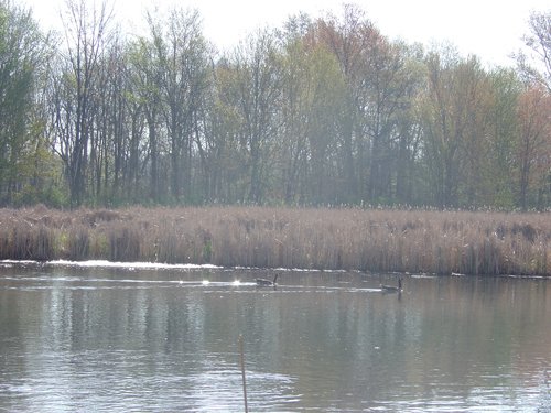 Tract 8 - 371 Acres Offered in 9 Tracts