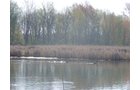 Tract 8 - 371 Acres Offered in 9 Tracts
