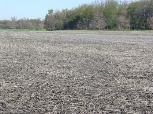 Tract 6 - 371 Acres Offered in 9 Tracts