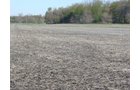 Tract 6 - 371 Acres Offered in 9 Tracts