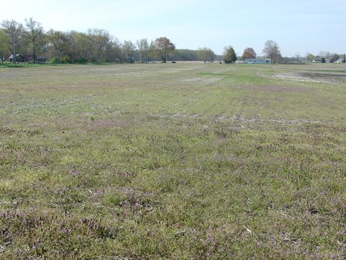Tract 7 - 371 Acres Offered in 9 Tracts