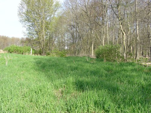 Tract 8 - 371 Acres Offered in 9 Tracts