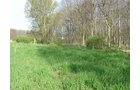 Tract 8 - 371 Acres Offered in 9 Tracts