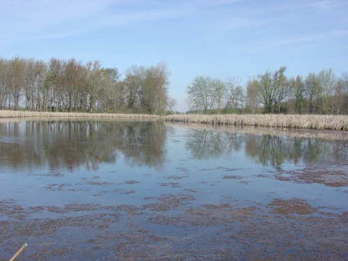 Tract 8 - 371 Acres Offered in 9 Tracts