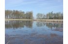 Tract 8 - 371 Acres Offered in 9 Tracts