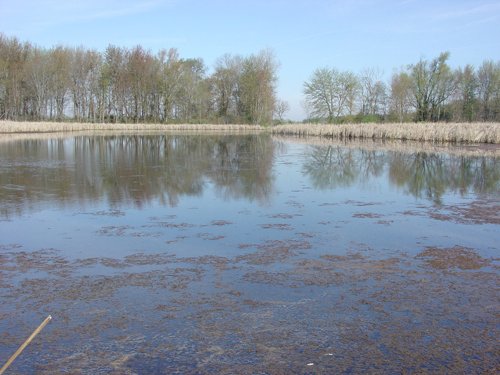 Tract 8 - 371 Acres Offered in 9 Tracts