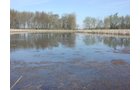 Tract 8 - 371 Acres Offered in 9 Tracts