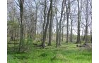 Tract 8 - 371 Acres Offered in 9 Tracts