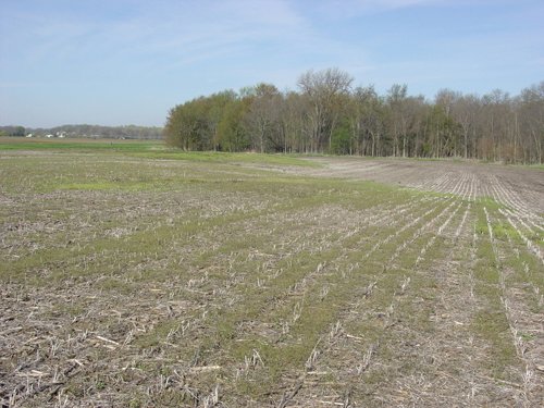 Tract 9 - 371 Acres Offered in 9 Tracts