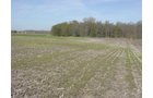 Tract 9 - 371 Acres Offered in 9 Tracts