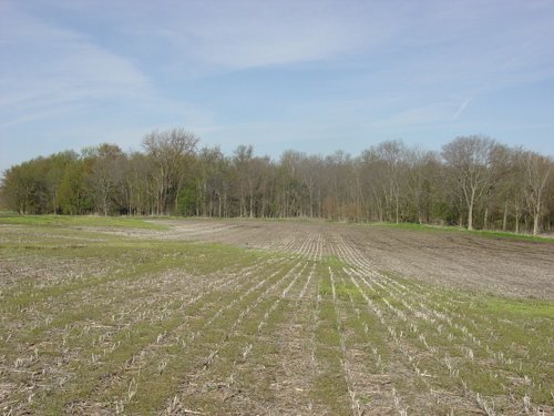 Tract 9 - 371 Acres Offered in 9 Tracts
