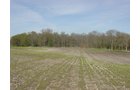 Tract 9 - 371 Acres Offered in 9 Tracts