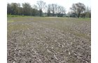 Tract 9 - 371 Acres Offered in 9 Tracts