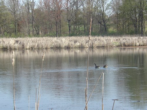 Tract 9 - 371 Acres Offered in 9 Tracts