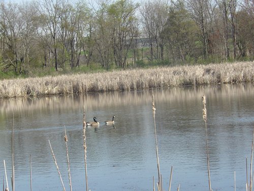 Tract 9 - 371 Acres Offered in 9 Tracts
