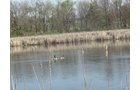 Tract 9 - 371 Acres Offered in 9 Tracts