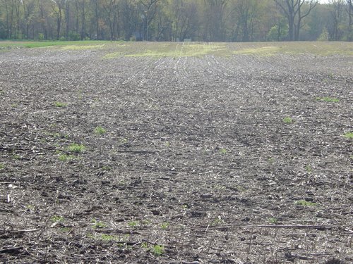 Tract 9 - 371 Acres Offered in 9 Tracts