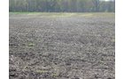 Tract 9 - 371 Acres Offered in 9 Tracts