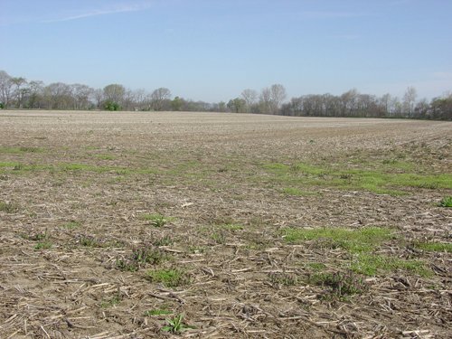 Tract 2 - 371 Acres Offered in 9 Tracts
