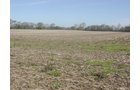 Tract 2 - 371 Acres Offered in 9 Tracts
