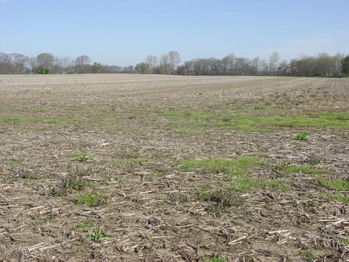Tract 2 - 371 Acres Offered in 9 Tracts