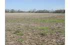 Tract 2 - 371 Acres Offered in 9 Tracts