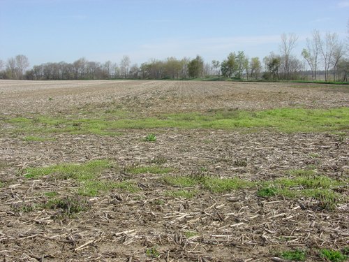 Tract 2 - 371 Acres Offered in 9 Tracts