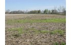 Tract 2 - 371 Acres Offered in 9 Tracts