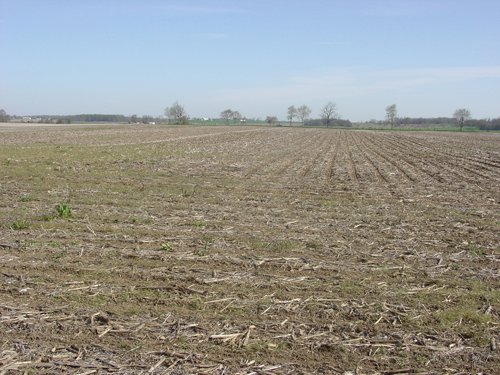 Tract 1 - 371 Acres Offered in 9 Tracts