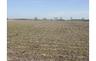 Tract 1 - 371 Acres Offered in 9 Tracts
