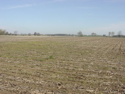 Tract 1 - 371 Acres Offered in 9 Tracts