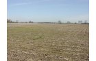 Tract 1 - 371 Acres Offered in 9 Tracts
