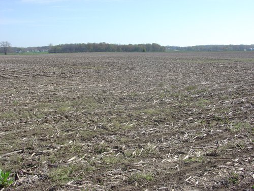 Tract 1 - 371 Acres Offered in 9 Tracts