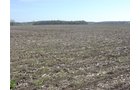 Tract 1 - 371 Acres Offered in 9 Tracts
